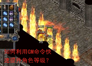 如何利用GM命令快速提升角色等级? 如何利用GM命令快速提升角色等级?