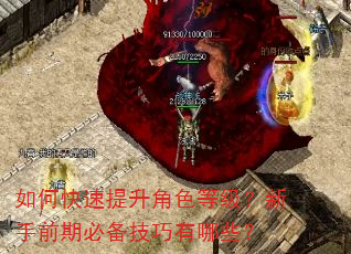 如何快速提升角色等级?新手前期必备技巧有哪些? 如何快速提升角色等级?新手前期必备技巧有哪些?