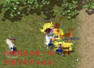 ������Ϸ������SFC��������ʲô���壿