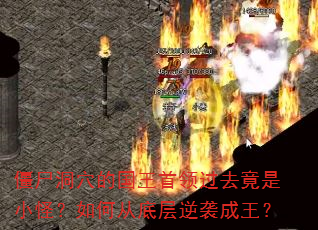 僵尸洞穴的国王首领过去竟是小怪?如何从底层逆袭成王? 僵尸洞穴的国王首领过去竟是小怪?如何从底层逆袭成王?