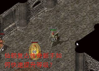 仙鹤复古传奇新手如何快速提升等级? 仙鹤复古传奇新手如何快速提升等级?