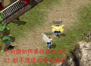 小刺猬如何单挑终极BOSS?新手速成攻略全解析 小刺猬如何单挑终极BOSS?新手速成攻略全解析