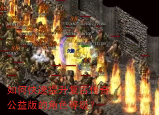 如何快速提升复古传奇公益版的角色等级? 如何快速提升复古传奇公益版的角色等级?