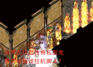 如何在热血传奇私服免费实现高效挂机脚本? 如何在热血传奇私服免费实现高效挂机脚本?