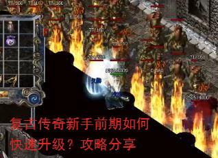 ���Ŵ�������ǰ����ο������������Է���