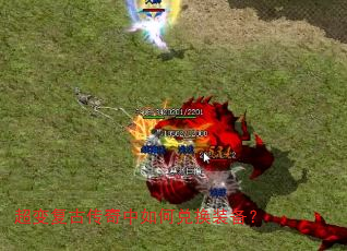 ���临�Ŵ�������ζһ�װ����