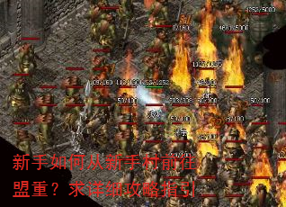 ������δ����ִ�ǰ�����أ�����ϸ����ָ��