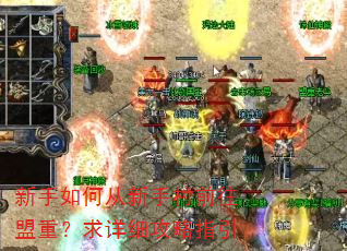 ������δ����ִ�ǰ�����أ�����ϸ����ָ��