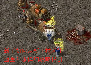 ������δ����ִ�ǰ�����أ�����ϸ����ָ��