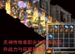 �����浥ְҵ��ο�������ս�����ȡϡ��װ����