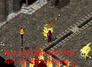 ħ��֮Ѫ�ڸ��Ŵ����о����кζ����������ȡ���ԣ�