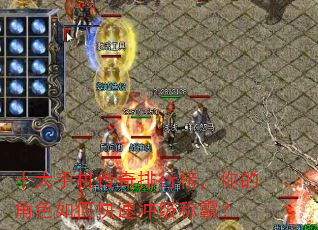 ʮ���ֻ��������а���Ľ�ɫ��ο��ٳ弶�ưԣ�