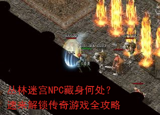 丛林迷宫NPC藏身何处?速来解锁传奇游戏全攻略 丛林迷宫NPC藏身何处?速来解锁传奇游戏全攻略