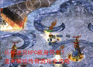 丛林迷宫NPC藏身何处?速来解锁传奇游戏全攻略 丛林迷宫NPC藏身何处?速来解锁传奇游戏全攻略