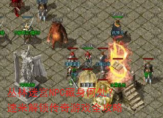 丛林迷宫NPC藏身何处?速来解锁传奇游戏全攻略 丛林迷宫NPC藏身何处?速来解锁传奇游戏全攻略