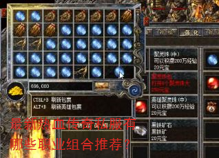 ������Ѫ����˽������Щְҵ����Ƽ���