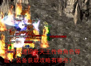 如何快速提升天王传奇角色等级?装备获取攻略有哪些? 如何快速提升天王传奇角色等级?装备获取攻略有哪些?
