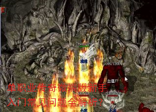 ��ְҵ����΢�˰��������ų�������ȫ������