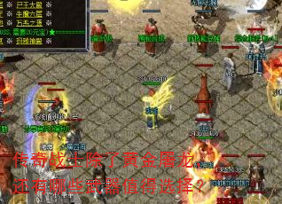 传奇战士除了黄金屠龙,还有哪些武器值得选择? 传奇战士除了黄金屠龙,还有哪些武器值得选择?