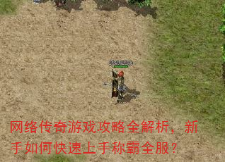 网络传奇游戏攻略全解析,新手如何快速上手称霸全服? 网络传奇游戏攻略全解析,新手如何快速上手称霸全服?
