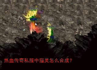��Ѫ����˽����è����ô�ϳɣ�