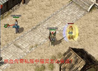 ��Ѫ����˽����è����ô�ϳɣ�
