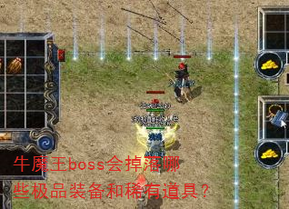 ţħ��boss�������Щ��Ʒװ����ϡ�е��ߣ�