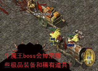 ţħ��boss�������Щ��Ʒװ����ϡ�е��ߣ�