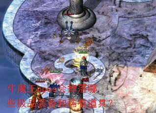 ţħ��boss�������Щ��Ʒװ����ϡ�е��ߣ�