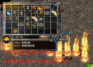 �����Ч������Netcom����˽���еĽ�ɫʵ����