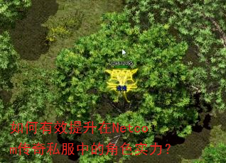 �����Ч������Netcom����˽���еĽ�ɫʵ����
