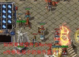 �����Ч������Netcom����˽���еĽ�ɫʵ����