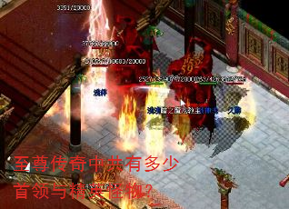 �������й��ж��������뾫Ӣ���