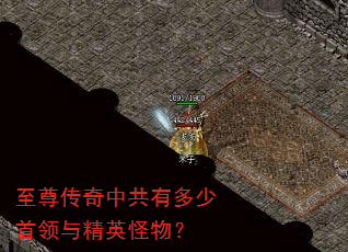 �������й��ж��������뾫Ӣ���