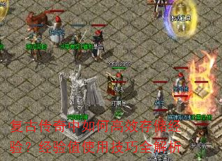 ���Ŵ�������θ�Ч�洢���飿����ֵʹ�ü���ȫ����
