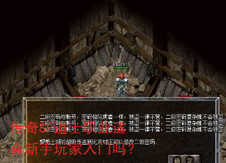 传奇SF道士职业适合新手玩家入门吗? 传奇SF道士职业适合新手玩家入门吗?