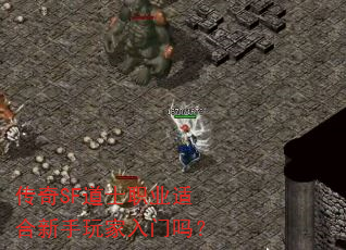 传奇SF道士职业适合新手玩家入门吗? 传奇SF道士职业适合新手玩家入门吗?