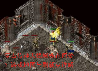 复古传神天狼蜘蛛在何处?游戏地图与刷新点详解 复古传神天狼蜘蛛在何处?游戏地图与刷新点详解