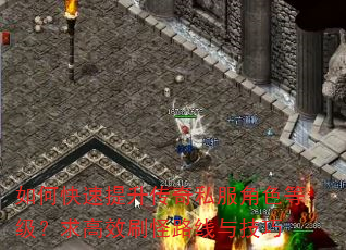 如何快速提升传奇私服角色等级?求高效刷怪路线与技巧 如何快速提升传奇私服角色等级?求高效刷怪路线与技巧