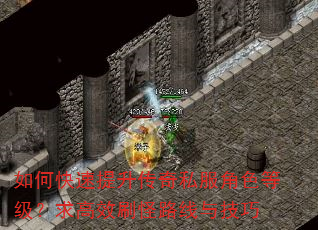 如何快速提升传奇私服角色等级?求高效刷怪路线与技巧 如何快速提升传奇私服角色等级?求高效刷怪路线与技巧