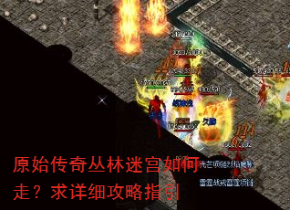 ԭʼ��������Թ�����ߣ�����ϸ����ָ��