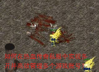 如何在热血传奇私服中实现多开并高效管理多个游戏账号? 如何在热血传奇私服中实现多开并高效管理多个游戏账号?
