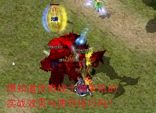 ��֪������սʿʨ�Ӻ��ʵսЧ����ʹ�ü�����