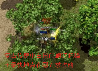 ���Ŵ����а�����ˢ����è�����ص����ģ�����