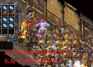 如何快速提升秒杀单职业私服中的角色战斗力? 如何快速提升秒杀单职业私服中的角色战斗力?