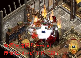��ο���������woool����˽���еĽ�ɫ�ȼ���