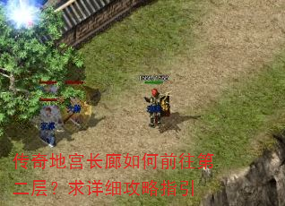 传奇地宫长廊如何前往第二层?求详细攻略指引 传奇地宫长廊如何前往第二层?求详细攻略指引