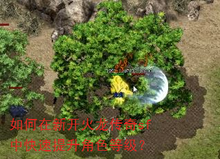 如何在新开火龙传奇sf中快速提升角色等级? 如何在新开火龙传奇sf中快速提升角色等级?