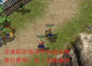 开单职业微端传奇游戏需要付费吗?新手攻略解析 开单职业微端传奇游戏需要付费吗?新手攻略解析