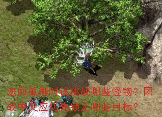 法师单刷时该挑战哪些怪物?团战中又应优先锁定哪些目标? 法师单刷时该挑战哪些怪物?团战中又应优先锁定哪些目标?